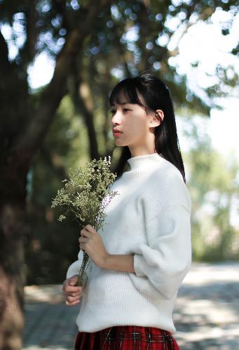 麻花传MV在线观看免费高清电视剧大全