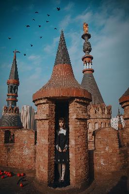 最好看的电影2019中文字幕